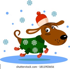 Christmas illustration with funny dog. Vector puppy in green sweater, red hat and socks. Happy New Year collection. Winter design. Cartoon animals image