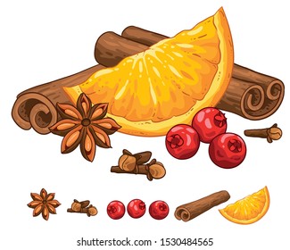 Christmas illustration hand draw vector. Star anise, cinnamon rolls, cranberry, cloves and orange. Isolated on white background. Winter spices.