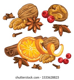 Christmas illustration hand draw vector. Group star anise, berry, cranberry, cinnamon, walnut, cloves and orange peel. Isolated onwhite background. Winter spices for hot drink.
