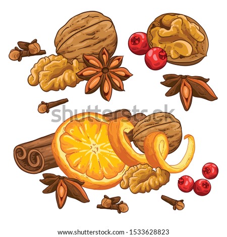 Christmas illustration hand draw vector. Group star anise, berry, cranberry, cinnamon, walnut, cloves and orange peel. Isolated onwhite background. Winter spices for hot drink.