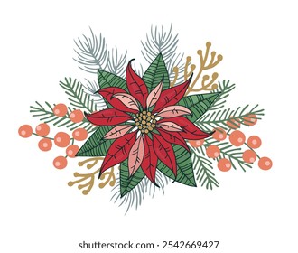 Christmas illustration with poinsettia and fir branches.  Botanical winter composition for postcard design and printing. Vector color hand drawing.