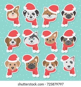 Christmas illustration set with dogs in scarfs and hats