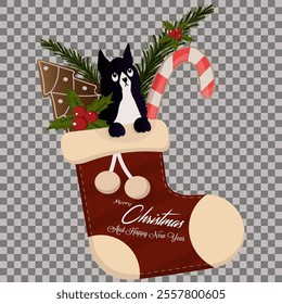 Christmas illustration with a Christmas sock. Inside the sock there are gifts, sweets and a cute cat. Vector image isolated on a transparent background