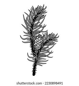 Ilustración vectorial aislada de Navidad dibujo de tinta de elementos de decoración de ramas de árbol evergreen. Decoración festiva de la temporada de invierno dibujada a mano