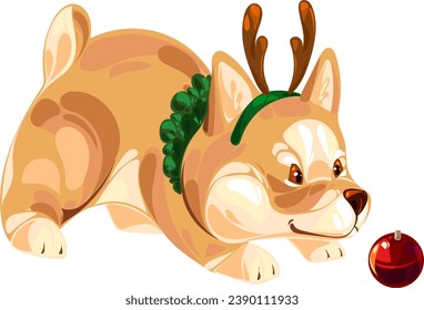 Christmas joyful puppy Welsh corgi Pembroke with Christmas toys and a hat in the form of deer antlers