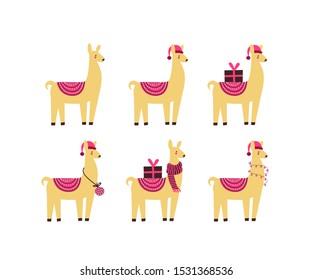 Christmas lama character isolated. Cute llamain cartoon flat style. Vector illustration of alpaca animal. 
