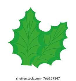 christmas leafs decorative icon