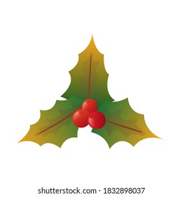 Christmas leaves with red berries. Vector illustration of christmas holly isolated on white.