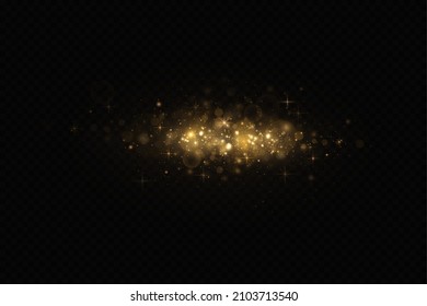 Christmas light effect. Sparkling magical dust particles.The dust sparks and golden stars shine with special light.