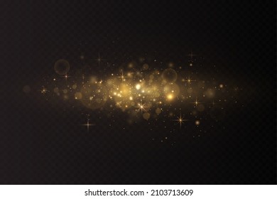 efecto de luz navideña. Esparcen mágicas partículas de polvo. El polvo chispa y las estrellas doradas brillan con luz especial.