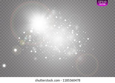 Christmas lights isolated realistic design elements. Glowing lights for Xmas Holiday cards, banners, posters, web design.