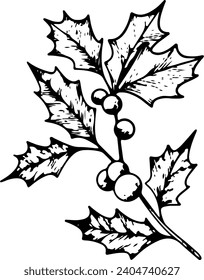 Christmas line art of ilex branches with berries. Holly leaves. Botanical Winterberry graphic. Hand painted outline illustration for wedding invitation, pack, card