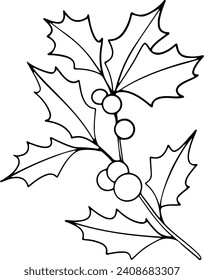 Christmas line art of ilex branches with berries. Holly leaves. Botanical Winterberry graphic. Hand painted outline illustration for wedding invitation, pack, card