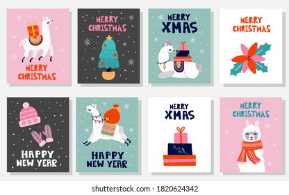 Christmas llama postcard set. Winter white llama and festive symbols present gift boxes, clothes, poinsettia and fir tree merry xmas happy new year lettering, holiday poster vector cartoon collection