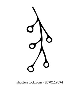 Christmas mistletoe branch doodle illustration hand drawn style