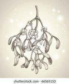 christmas mistletoe branch drawing