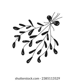 Christmas mistletoe in doodle style. Childrens coloring book for holiday plants. Hand drawn vector stock illustration on isolated white background.