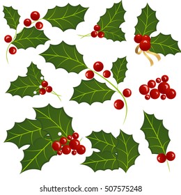 Christmas mistletoe holiday set. Vector illustration. Christmas flower.