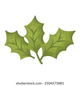 Christmas mistletoe illustration on white background.