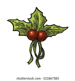 Christmas mistletoe with ribbon. Isolated on white background. Vector vintage color engraving illustration.