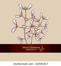 Christmas mistletoe, a sprig of mistletoe. drawing