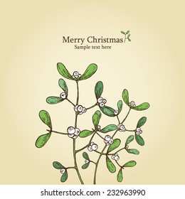 Christmas mistletoe, a sprig of mistletoe. drawing 
