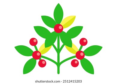 christmas mistletoe vector Color file