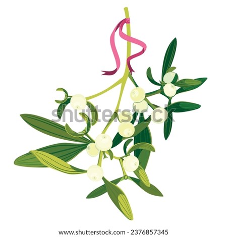 Christmas mistletoe. Vector. Green branches are tied with a ribbon and suspended from the ceiling - a New Year's place for a kiss. Illustration for Christmas cards and decorative design.