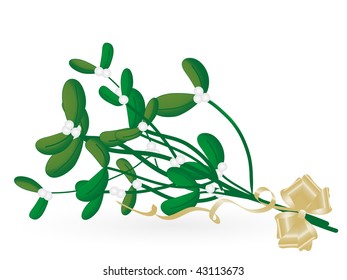 Christmas mistletoe - vector illustration