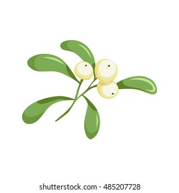 Christmas mistletoe. with white berries