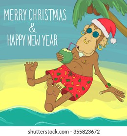 Christmas monkey on a beach