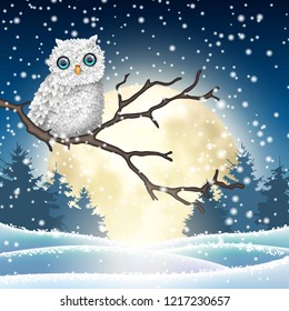 Christmas motive, cute white owl sitting on dry branch in winter night landscape in front of big shinny moon, vector illustration, eps 10 with transparency and gradient meshes