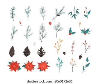 Christmas natural decoration set. Green pine and spruce branches, pine cones, mistletoe and poinsettia. Christmas plants and flowers. Postcard or gift festive decoration. Flat vector illustration