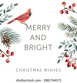 Christmas nature design frame, text Merry and Bright, white background. Green pine, fir twigs, cones, red berries, cardinal bird. Vector illustration. Greeting card, poster template. Winter holidays