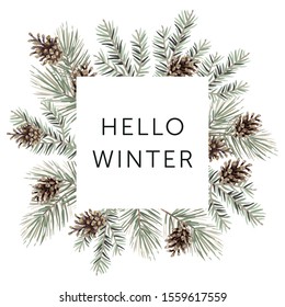 Christmas nature design square frame, text Hello Winter, white background. Green pine, fir twigs, cones. Vector illustration. Greeting card, poster template. Xmas holidays