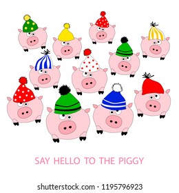 Christmas and New Year’s card with comic text and the amusing pigs dressed in bright caps. Symbol of 2019 on the Chinese calendar. Any author's text can be used. Design for greeting card and more.