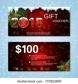 Christmas and New Year 2018 discount coupon, gift voucher vector template