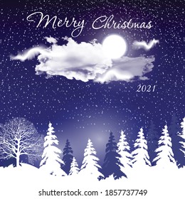 Christmas and New Year 2021 background with winter snowflakes landscape. Star night view. Typography vector design for greeting cards.