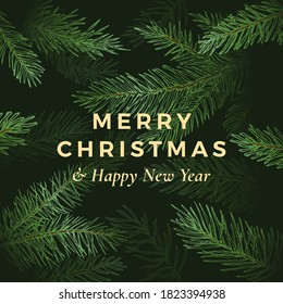 Abstrakte Vektor Grußkarte oder Poster zu Weihnachten und Neujahr. Tiefer Schattenhintergrund mit Tannenspinne oder Kiefernbranchen-Illustrationen. Winterurlaub Einladung Vorlage oder Dekoration Muster.