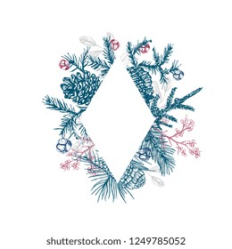 Christmas and new year background, cones and fir branches, hand drawing, vector