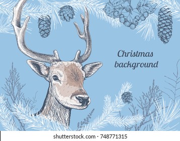 Christmas and New Year background with deer, different branches and cones. Fir tree, cedar, pine, arborvitae, hawthorn. Hand drawn sketch. Design for greeting cards, calendars, banners, invitations.