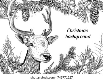 Christmas and New Year background with deer, different branches and cones. Fir tree, cedar, pine, arborvitae, hawthorn. Hand drawn sketch. Design for greeting cards, calendars, banners, invitations.