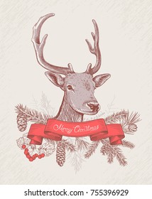 Christmas and New Year background with deer, ribbon, different branches and cones. Fir tree, cedar, pine, arborvitae, hawthorn. Hand drawn sketch. Design for greeting cards, calendars, banners.