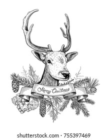 Christmas and New Year background with deer, ribbon, different branches, cones. Fir tree, cedar, pine, arborvitae, hawthorn. Hand drawn sketch. Design for greeting cards, calendars, banners.
