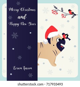 Christmas. New Year background with funny pug