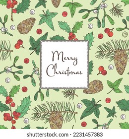 Christmas and New Year background with Christmas plants. Holly tree, pine cones, mistletoe branch, hedera and holly branch. Vector hand drawn illustration.