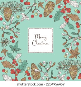 Christmas and New Year background with Christmas plants. Holly tree, pine cones, mistletoe branch, hedera and holly branch. Vector hand drawn illustration.