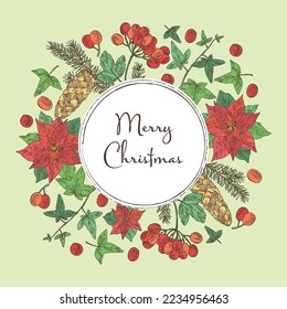 Christmas and New Year background with Christmas plants. Poinsettia flower, spruce, fir cones, hedera and viburnum berries. Vector hand drawn illustration.
