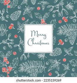 Christmas and New Year background with Christmas plants. Holly tree, pine cones, mistletoe branch, hedera and holly branch. Vector hand drawn illustration.