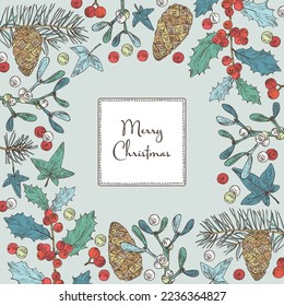 Christmas and New Year background with Christmas plants. Holly tree, pine cones, mistletoe branch, hedera and holly branch. Vector hand drawn illustration.